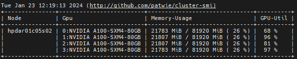 Cluster SMI 3